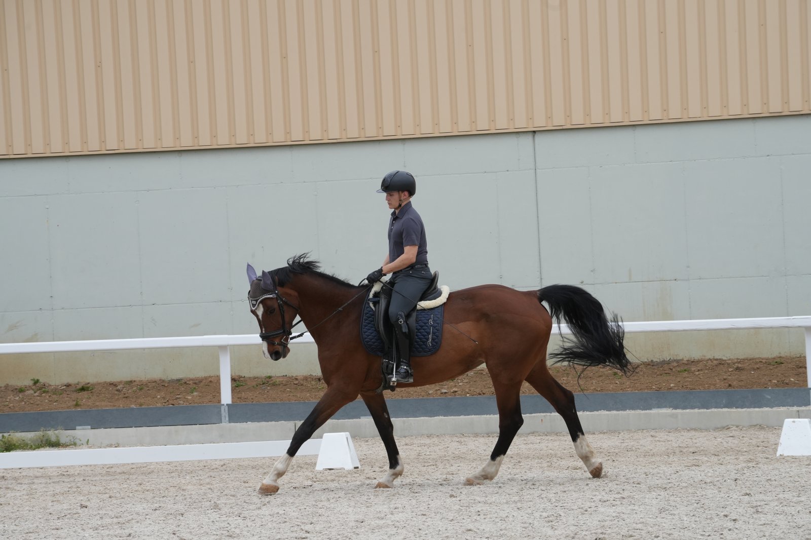 Sattel Prestige MASTER